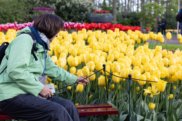 Amsterdam mama 2026-4978.jpg
